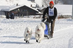 Lenk 2012 SM